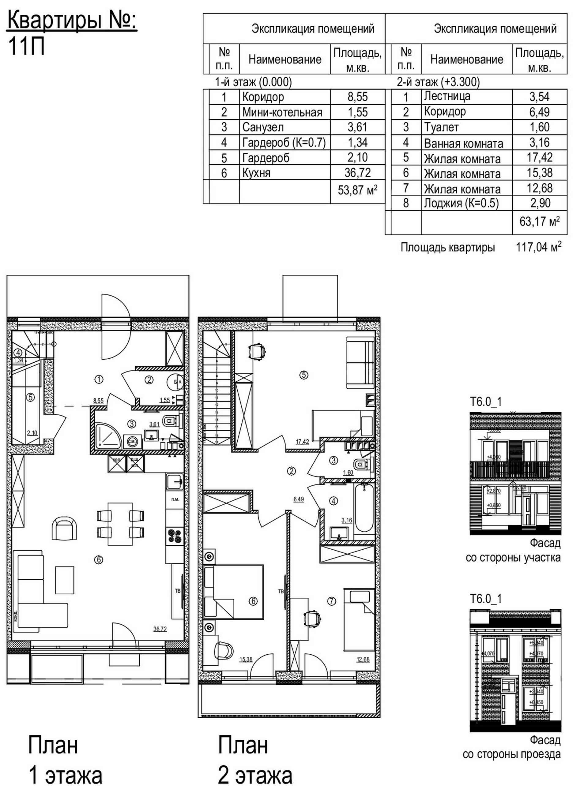 Айрон plan photo